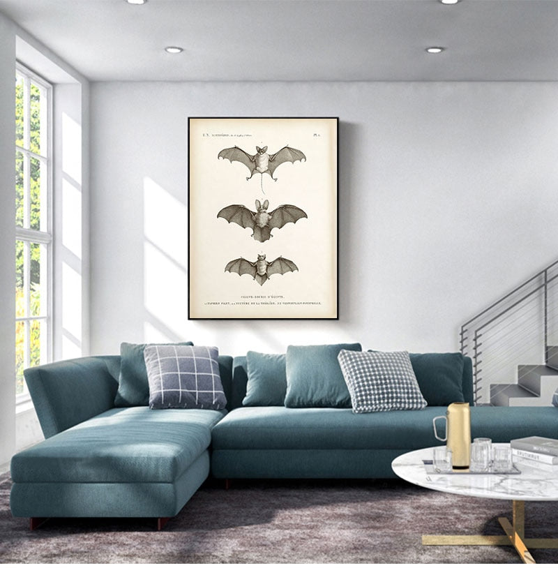 Vintage Bat Print Halloween Wall Art Canvas
